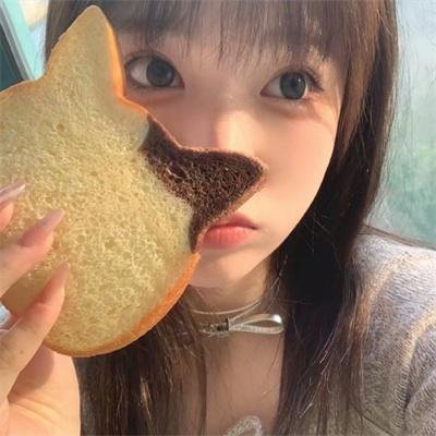 安妮回忆录