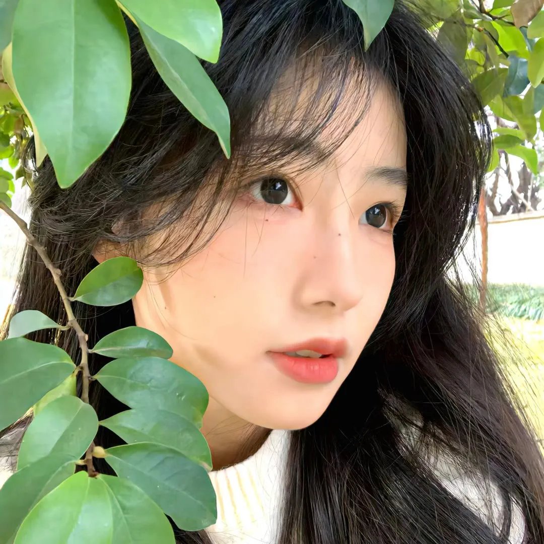 春光奏鸣曲国语